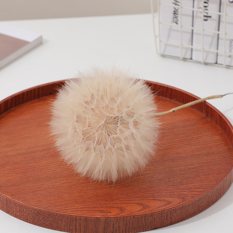 Resin Crafts Diy - Kit de Manualidades con Resina Epoxi