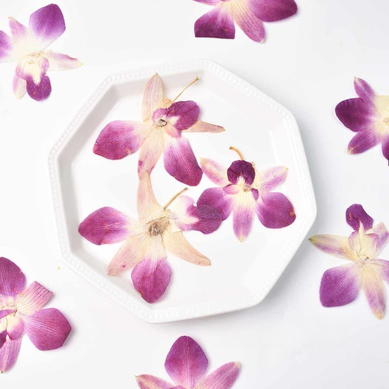 4 piezas, Flores de Orquídea M - Resin Craft Ideas reseña y precio