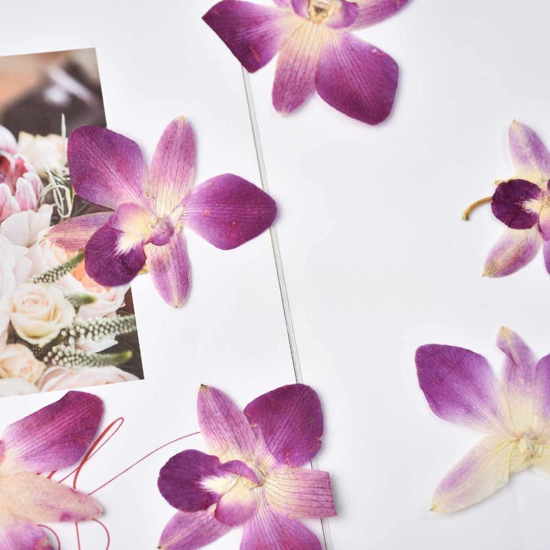 4 piezas, Flores de Orquídea M - Resin Craft Ideas reseña y precio