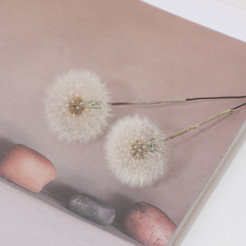 Kit de Manualidades con Resina - Resin Crafts Diy reseña y precio